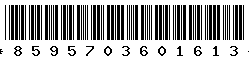 8595703601613