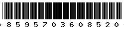 8595703608520