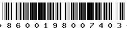 8600198007403